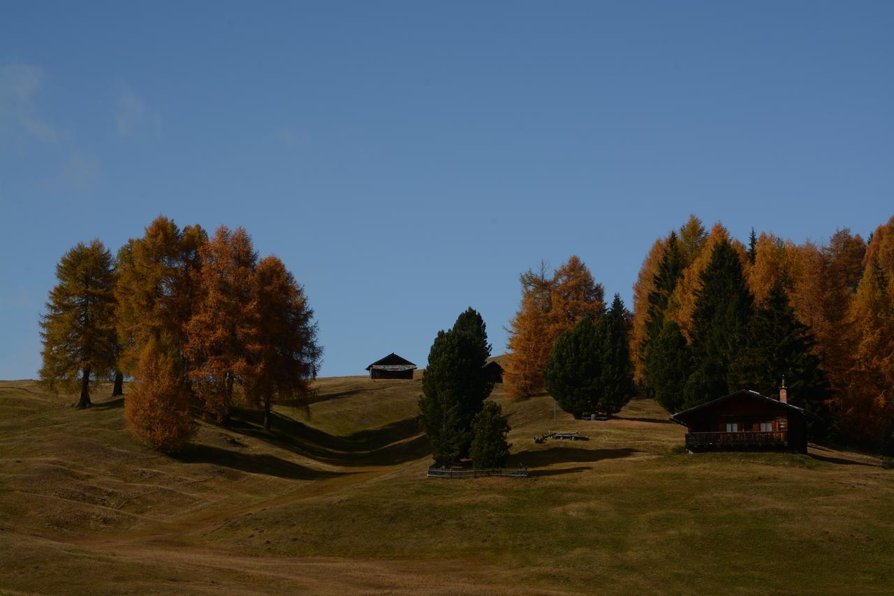 Dolomites B&B - Suites, Apartments And Spa Tesero Ngoại thất bức ảnh
